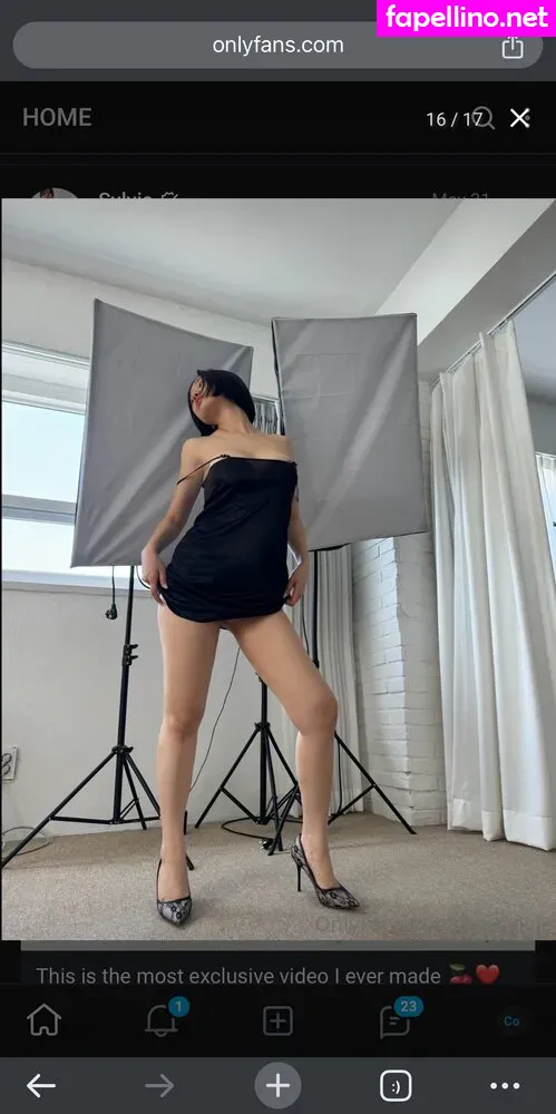 Sylvia Choi, baesylvie Nude Leaked OnlyFans Photo #hehqGa5YBP
