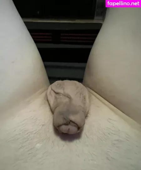 Baileyabunai OnlyFans Thumbnail #y21kLHcwnH