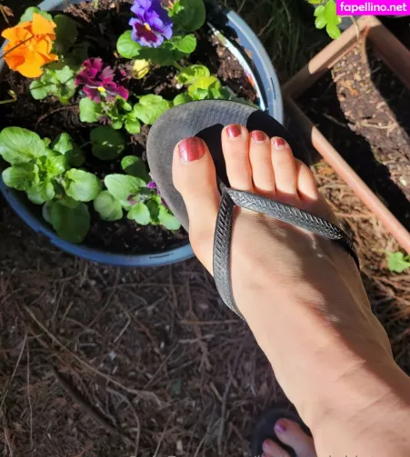 Ballettwinkletoes OnlyFans Thumbnail #BUv2BgpvjL
