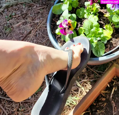 Ballettwinkletoes OnlyFans Thumbnail #RHUnLSWIS0