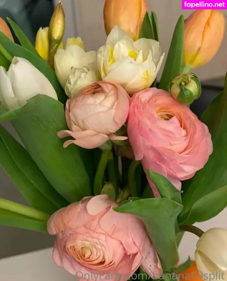 Banana69split OnlyFans Thumbnail #0K0uA0PJui