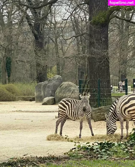 Banana69split OnlyFans Thumbnail #GN66I4GBZg