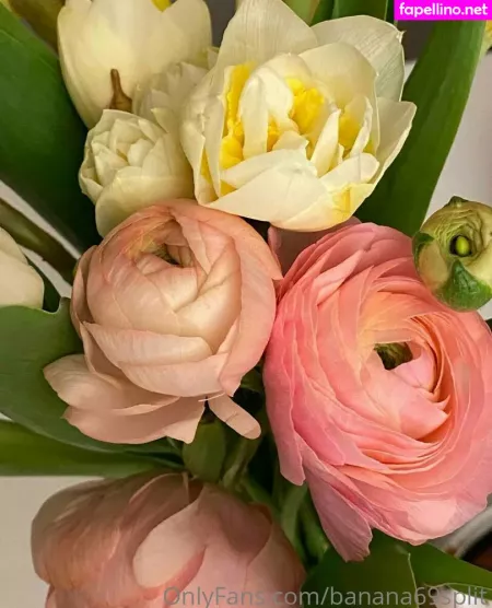 Banana69split OnlyFans Thumbnail #VcH5wkJyIw