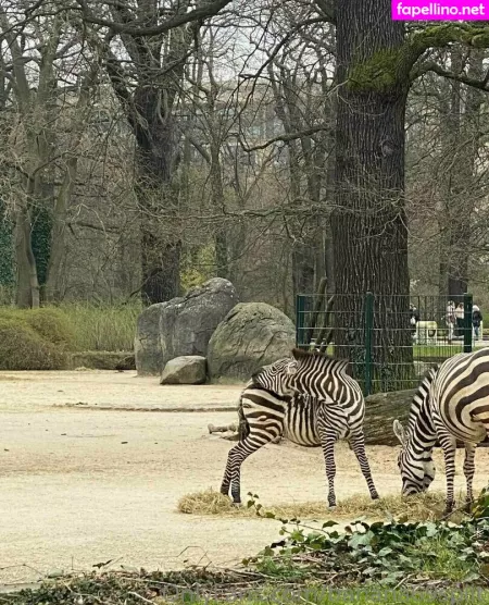 Banana69split OnlyFans Thumbnail #h42zXbYScs