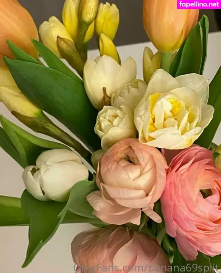 Banana69split OnlyFans Thumbnail #sUMb2hbU6Z