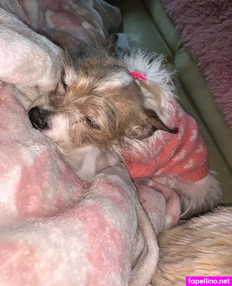 barbieisabbw Nude Leaked OnlyFans Photo #MHyaWYMeWJ