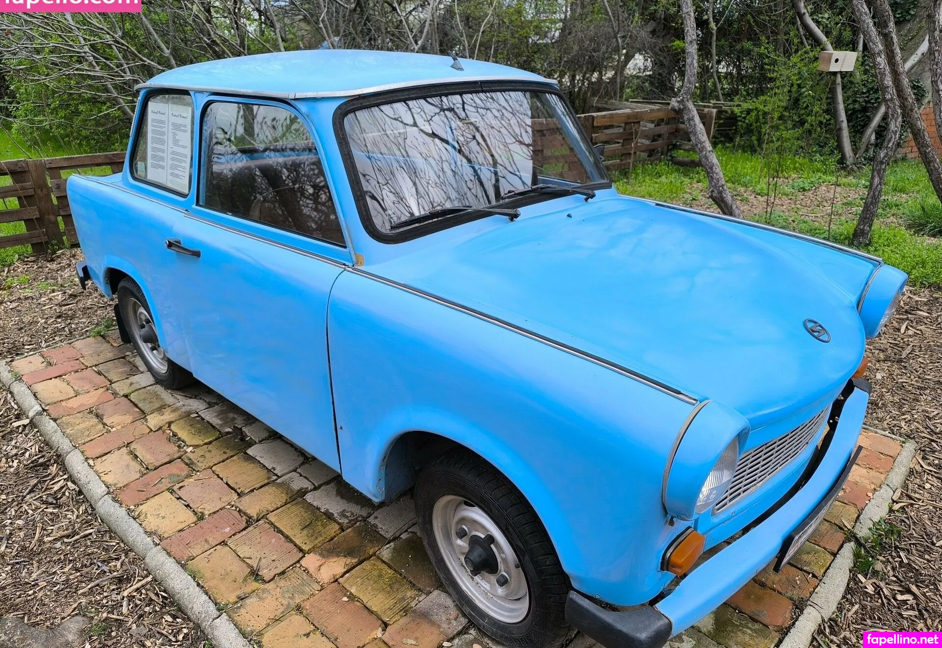 barbierascal, barbierascal00 Nude Leaked OnlyFans Photo #f0MYVY9vpC