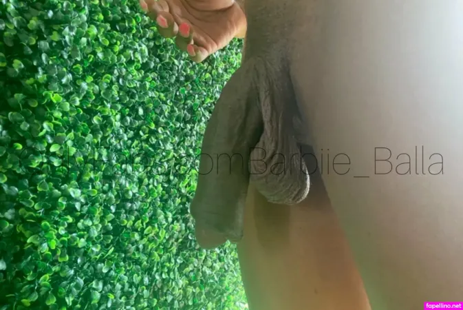 Barbiie Balla OnlyFans Thumbnail #LvJRI3GK9h