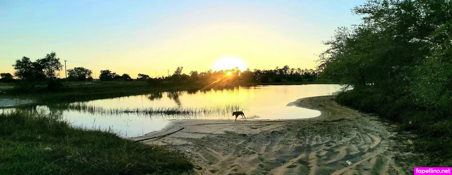 barefoot.wildflower Nude Leaked OnlyFans Photo #lisDihenf8