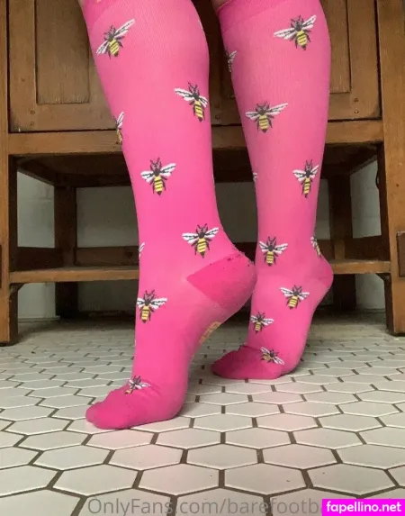 Barefootbarracuda Main Profile Photo