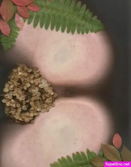 Bb Apathy OnlyFans Thumbnail #EsJxeal5aA