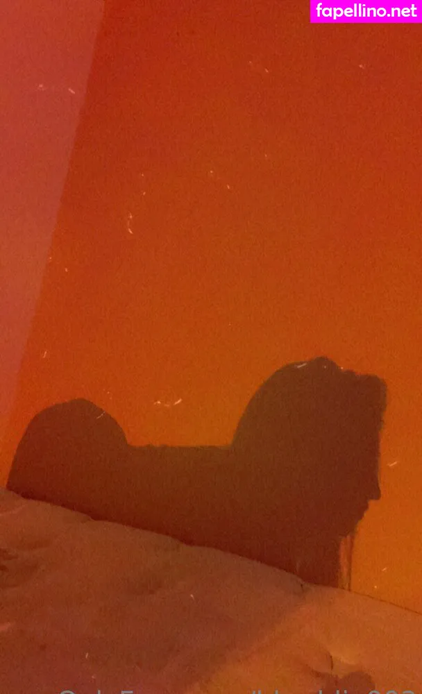 bbaddie003, theeebaddieb Nude Leaked OnlyFans Photo #LUtDaEodLv