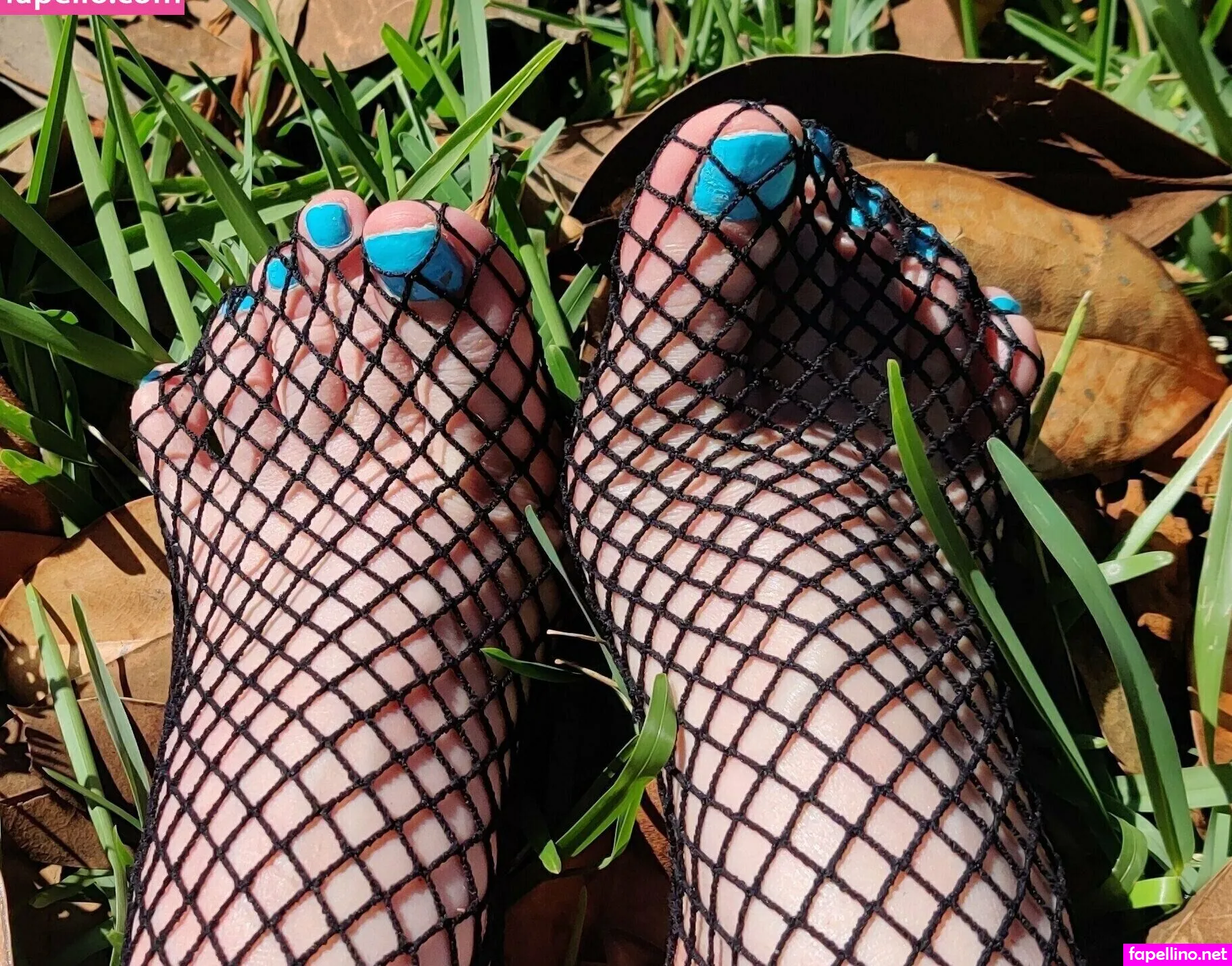 bbmaminextdoor, maaminextdoor Nude Leaked OnlyFans Photo #rbZMM1LG5y