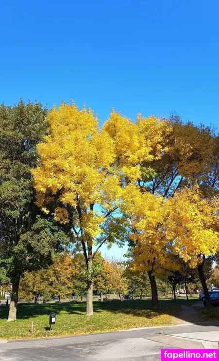 Be My Sky OnlyFans Thumbnail #UIxQnqeauP