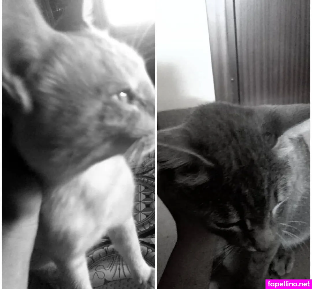 b.e.a.98 Nude Leaked OnlyFans Photo #1C0rNNrNug