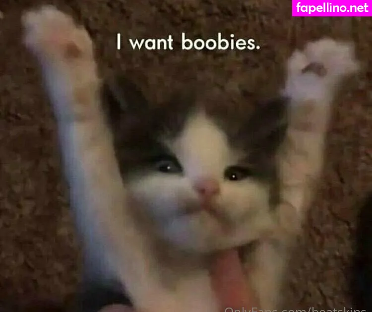 beatskins, thebearskinsband Nude Leaked OnlyFans Photo #ziFLOtNOnE