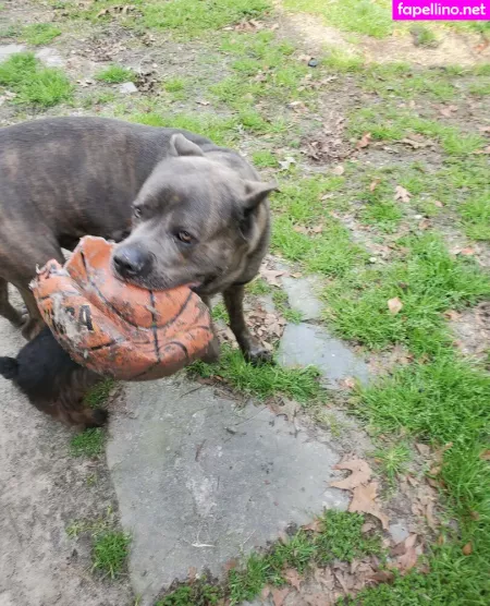 Bee88i OnlyFans Thumbnail #0OoilYUFZm