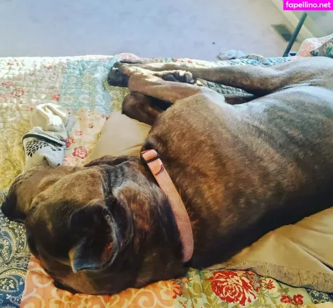 Bee88i OnlyFans Thumbnail #3KYpsahuBZ