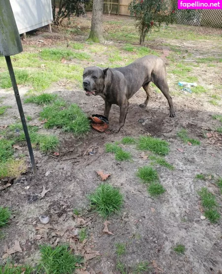 Bee88i OnlyFans Thumbnail #DuAFlB5hwo