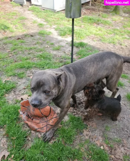 Bee88i OnlyFans Thumbnail #JXG1ViWzAg