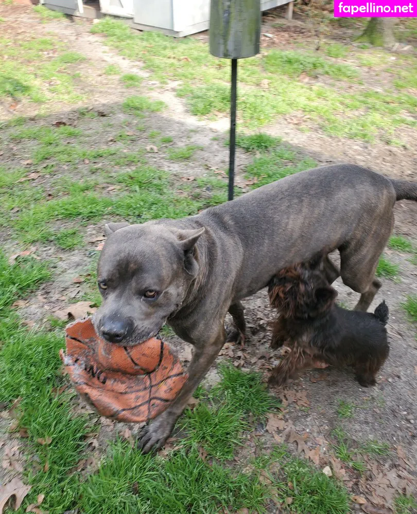 bee88i, bee_bowve88 Nude Leaked OnlyFans Photo #JXG1ViWzAg