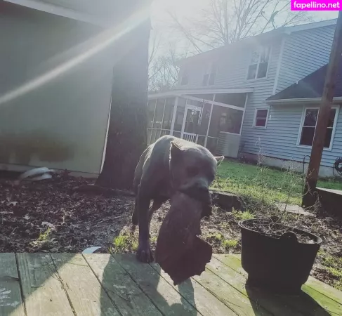 Bee88i OnlyFans Thumbnail #L40xgDpCbS