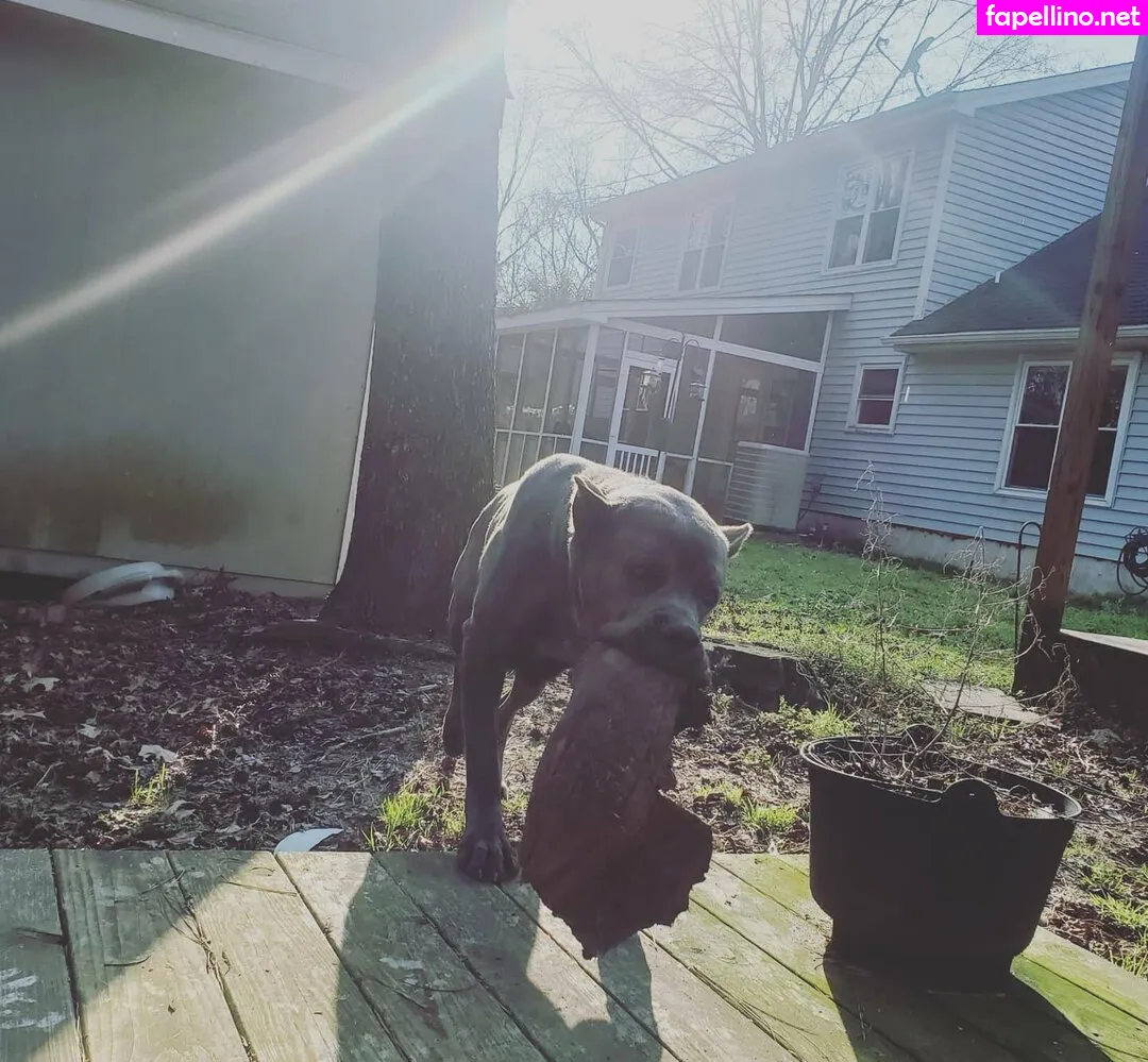 bee88i, bee_bowve88 Nude Leaked OnlyFans Photo #L40xgDpCbS