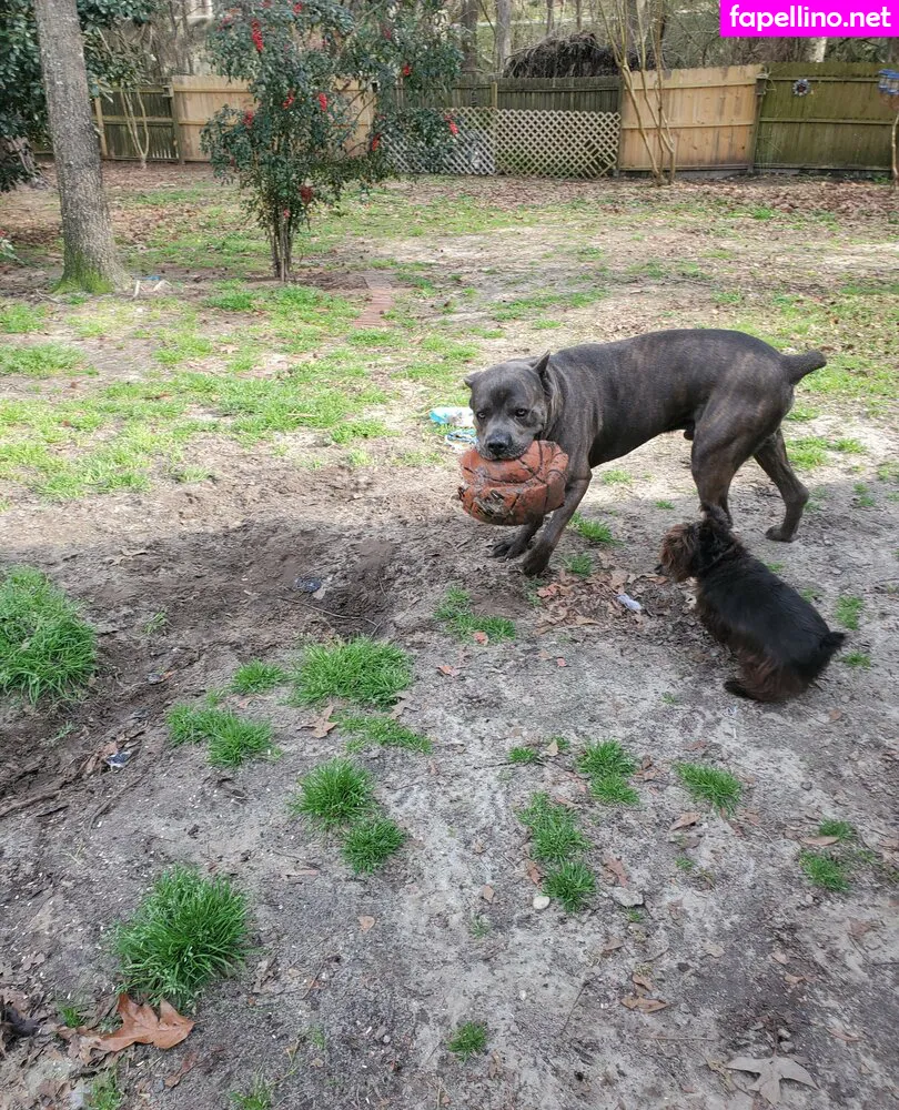 bee88i, bee_bowve88 Nude Leaked OnlyFans Photo #TgF8MVqjqN