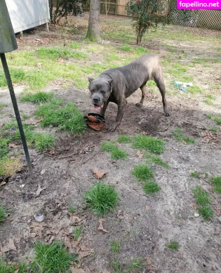 Bee88i OnlyFans Thumbnail #esbbKN1CW1