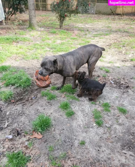 Bee88i OnlyFans Thumbnail #fCjqyuw4m0