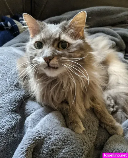 Beebonesbaby OnlyFans Thumbnail #3ASA5quZ5X