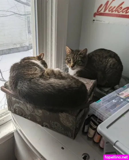 Beebonesbaby Main Profile Photo