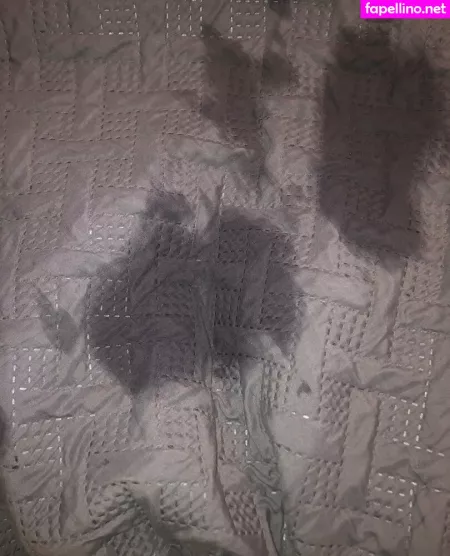 Begformolly OnlyFans Thumbnail #VPFugMauAX