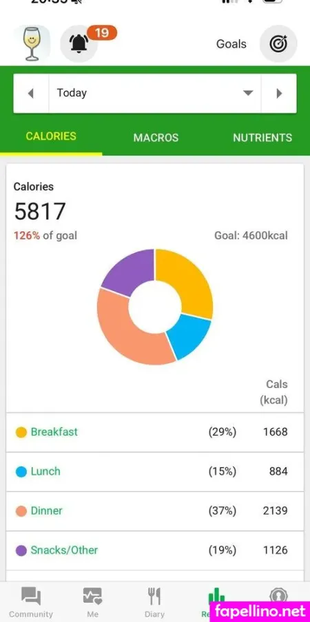 Begginerbelly Main Profile Photo