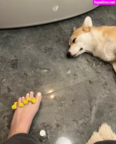 Bellas Paws OnlyFans Thumbnail #eyd1pkpeaN
