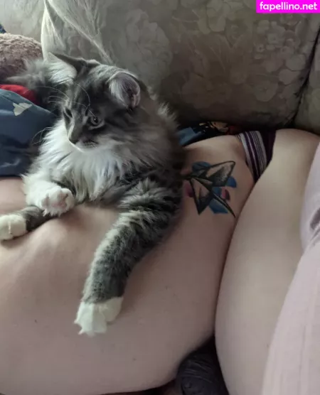 Belthaneb OnlyFans Thumbnail #3TeKqWopPY