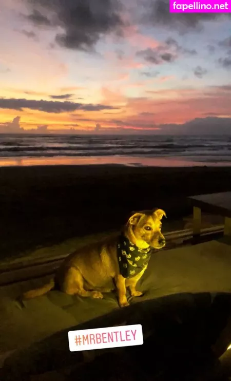 Bexiewilliams OnlyFans Thumbnail #VGbaZ3uzH0