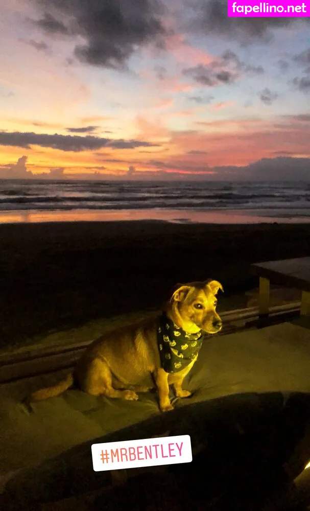 bexiebunny, bexiewilliams Nude Leaked OnlyFans Photo #VGbaZ3uzH0