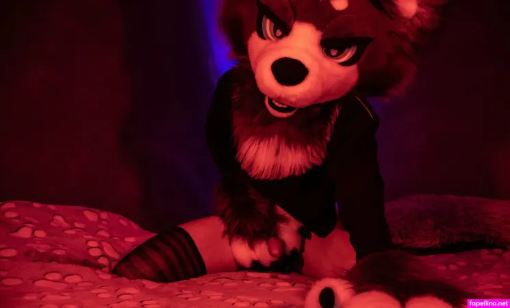 Bgrory OnlyFans Thumbnail #HKgnsXlK1I