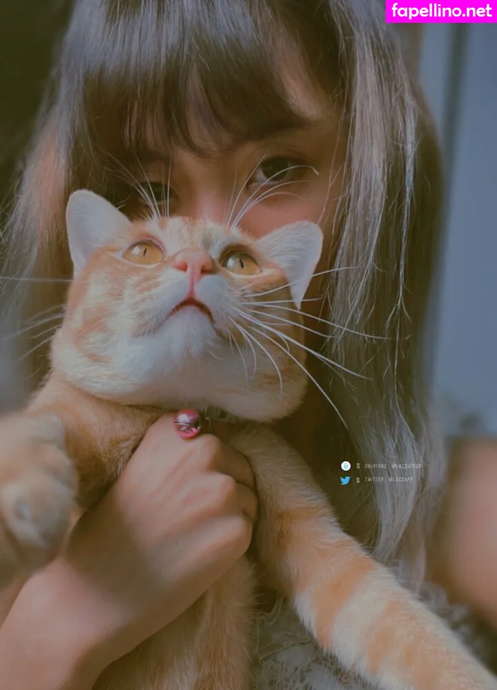 bibbob Nude Leaked OnlyFans Photo #gB4m7LvILe