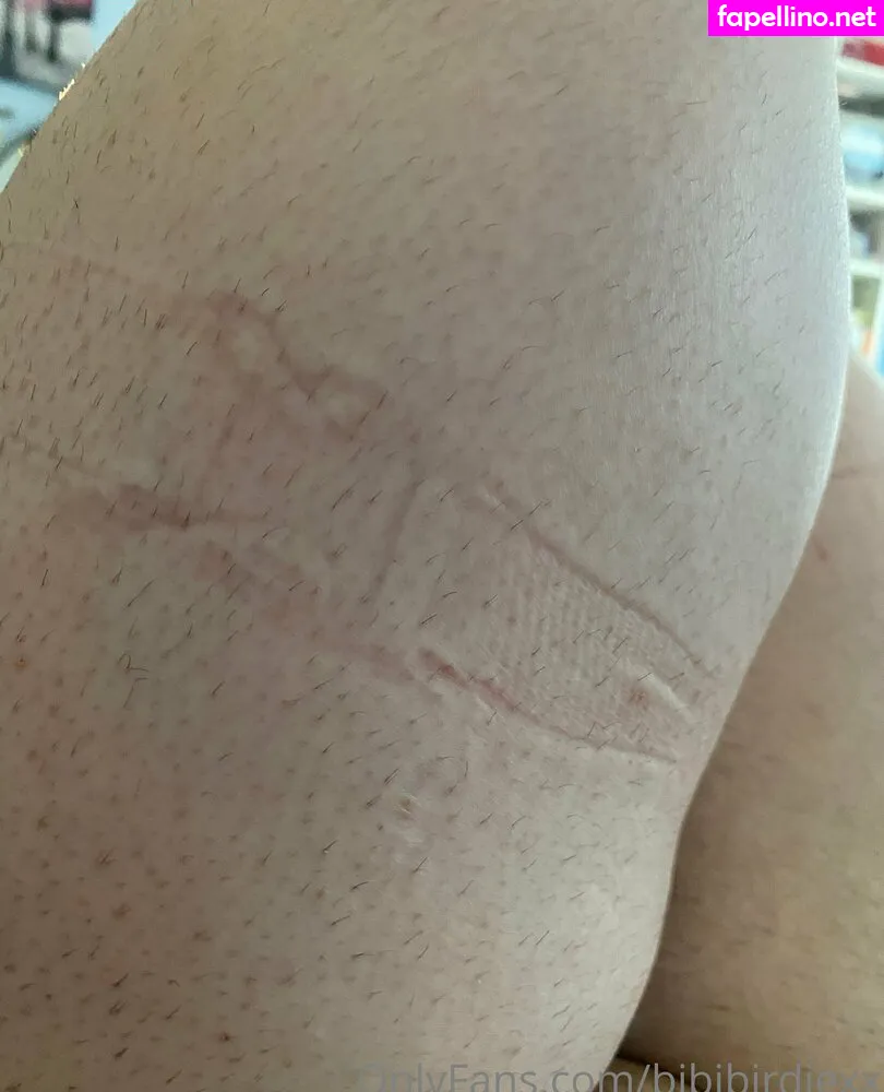 bibibirdiexx, bvrbiexx Nude Leaked OnlyFans Photo #fttbKb3EKT