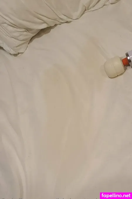 Bigbootychampagne Main Profile Photo