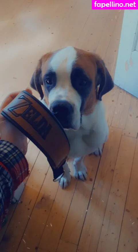 bigbootyisabella, isabella Nude Leaked OnlyFans Photo #FUFMYFA0ET