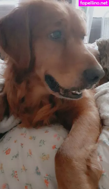 Bigbootyisabella OnlyFans Thumbnail #lR860GCy1s