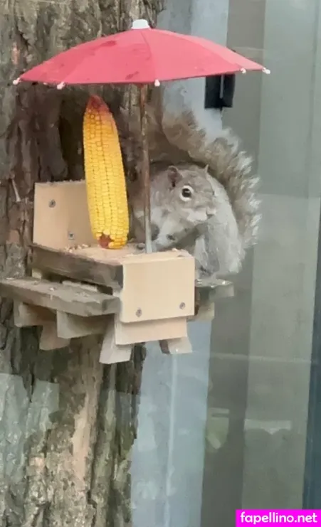 Bigdick Vin OnlyFans Thumbnail #sPPfgUULni