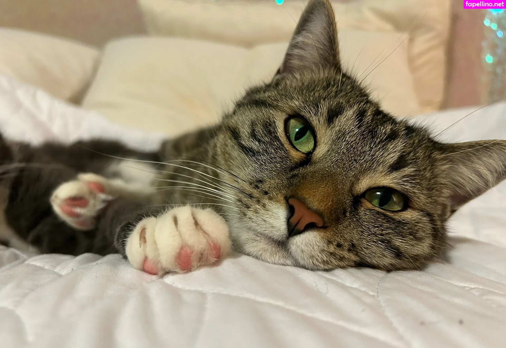 bikinibites Nude Leaked OnlyFans Photo #cINcHJ4ftH