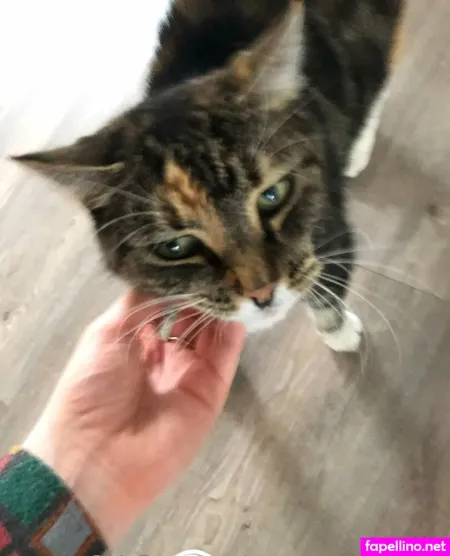 Billiebubbles OnlyFans Thumbnail #jtScG9laiK