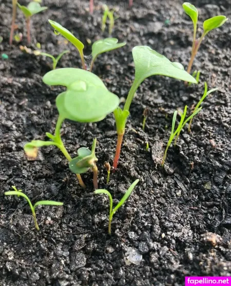 Billiebubbles OnlyFans Thumbnail #uW8iGOOXqH