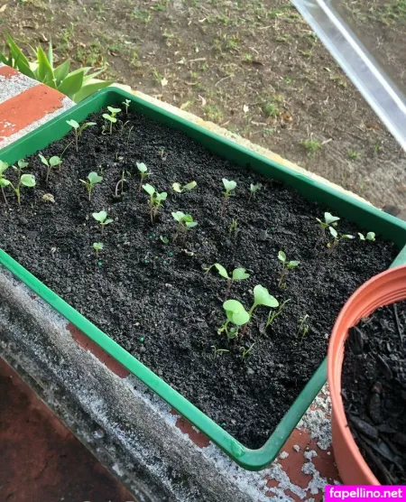 Billiebubbles OnlyFans Thumbnail #uXZTnuBKfz