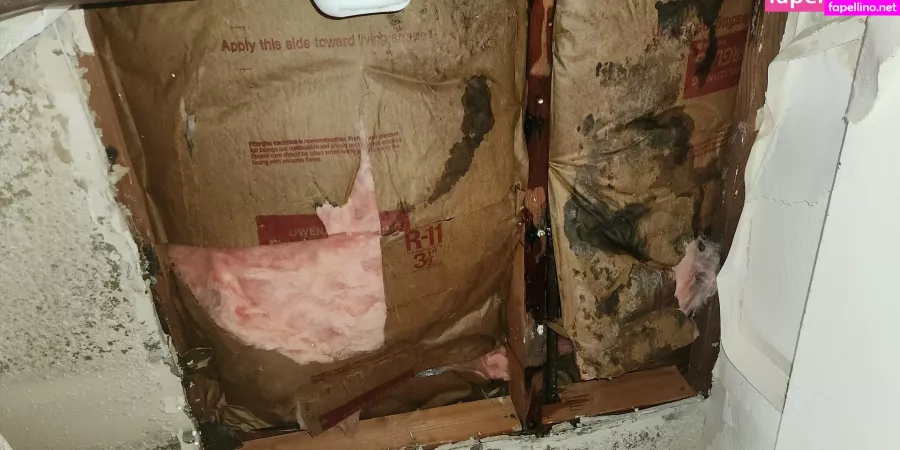 Bimbunny OnlyFans Thumbnail #8C5cw15ZZA